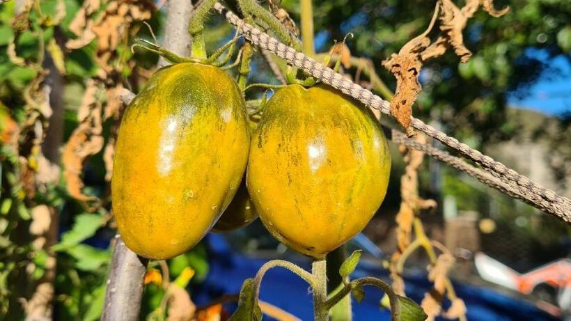 Pensió Budur Guest House