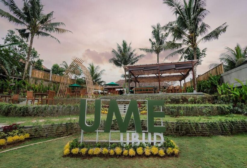 渡假胜地 Metland Venya Ubud