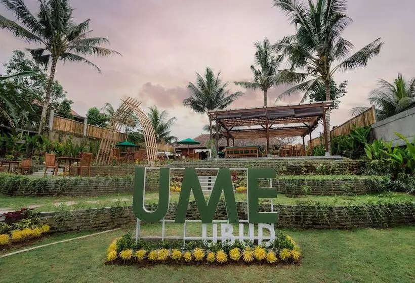 リゾートホテル Metland Venya Ubud