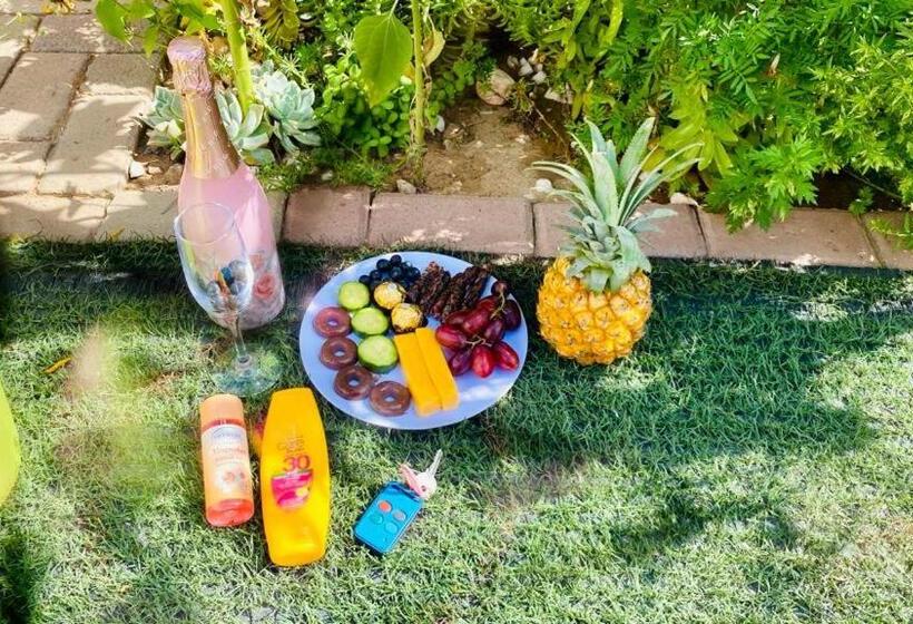 Mary Jo Bed And Breakfast