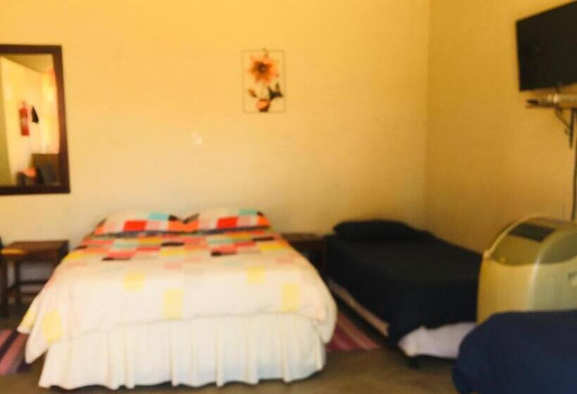 Mary Jo Bed And Breakfast