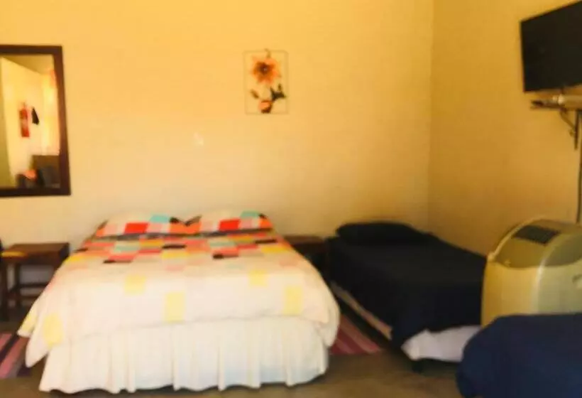 Mary Jo Bed And Breakfast