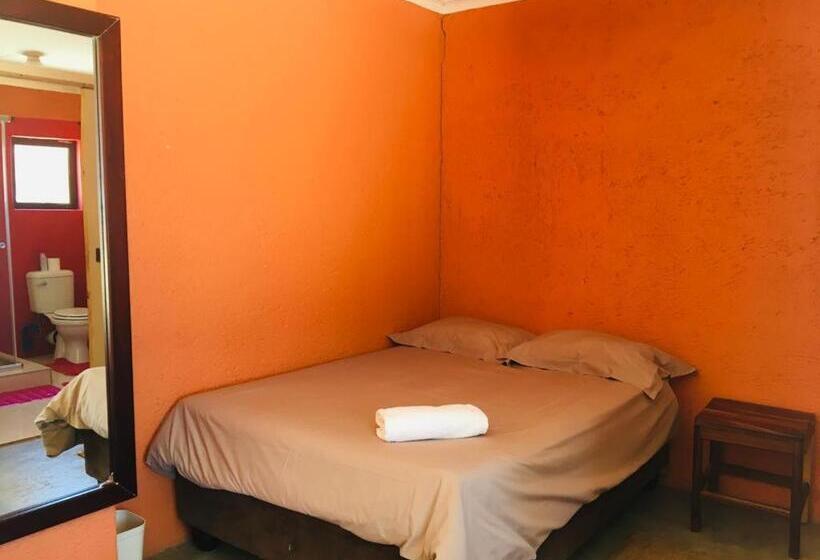 Mary Jo Bed And Breakfast