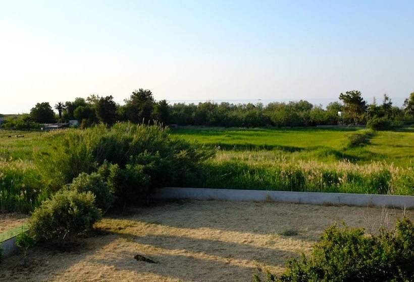 בית מלון כפרי Athina