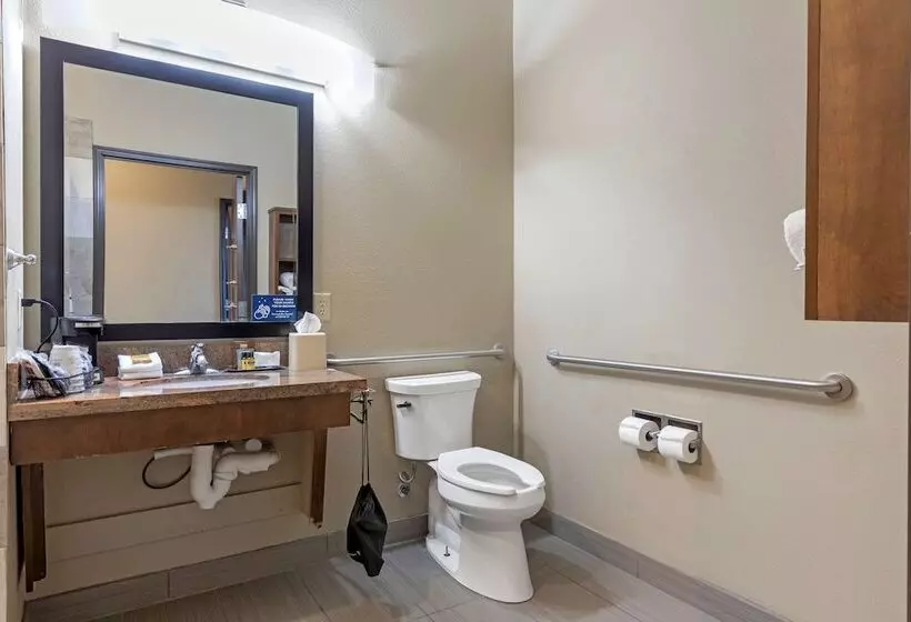 호텔 Best Western Plus Fort Stockton