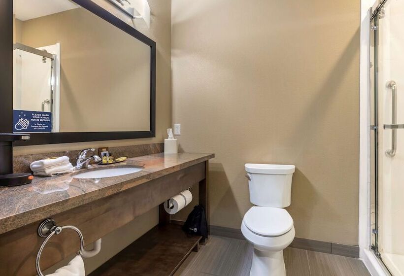 בית מלון כפרי Best Western Plus Fort Stockton