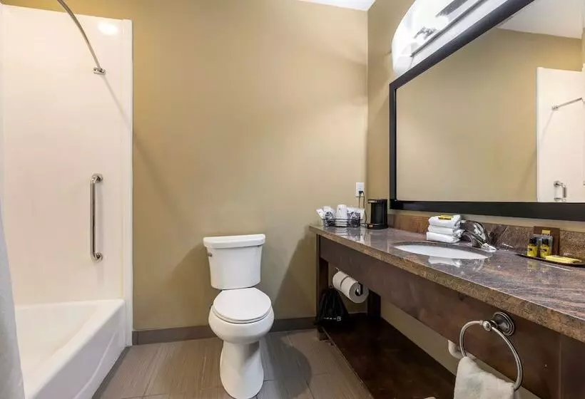 호텔 Best Western Plus Fort Stockton