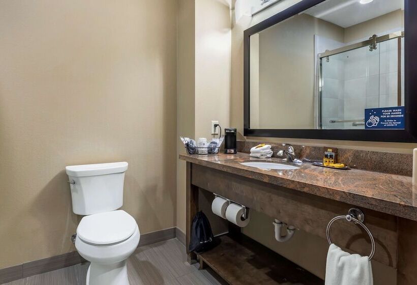 בית מלון כפרי Best Western Plus Fort Stockton