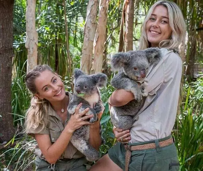 호텔 Bungalow Bay Koala Village   Hostel