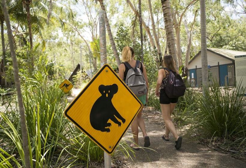 Отель Bungalow Bay Koala Village Hostel