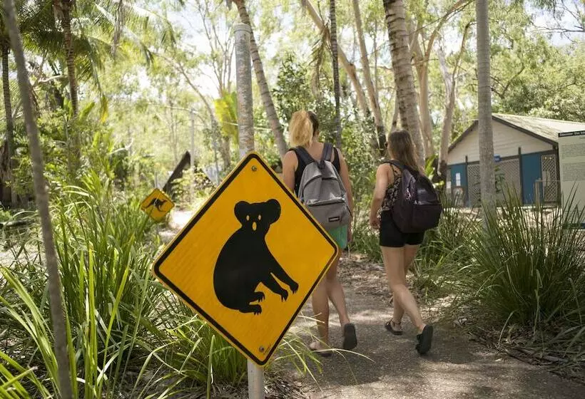 호텔 Bungalow Bay Koala Village   Hostel