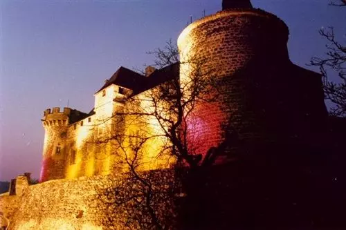 Отель Château Royal De Saint Saturnin