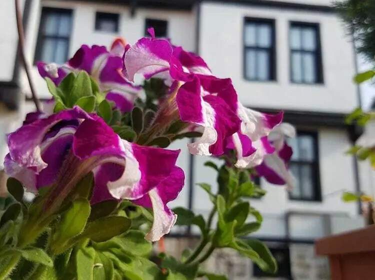 هتل Kadıoğlu Konağı