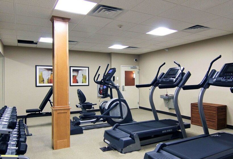 בית מלון כפרי Mainstay Suites Tioga