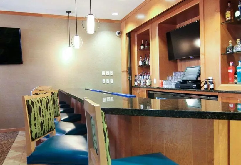 בית מלון כפרי Mainstay Suites Tioga