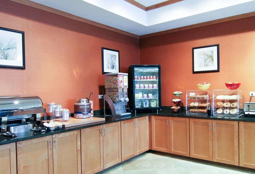 בית מלון כפרי Mainstay Suites Tioga