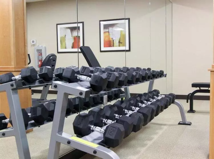 בית מלון כפרי Mainstay Suites Tioga