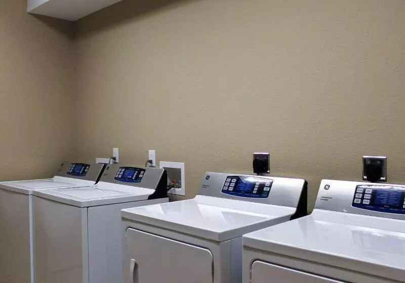 בית מלון כפרי Mainstay Suites Tioga