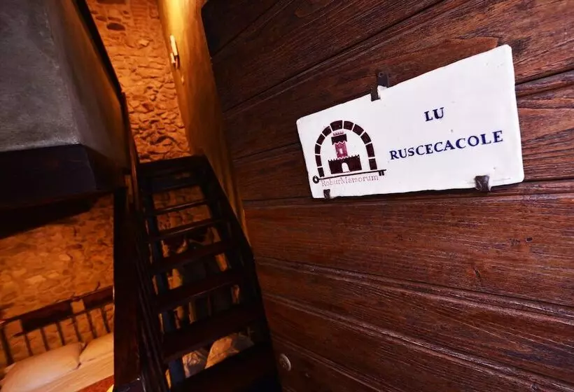 هتل Robur Marsorum Albergo Diffuso