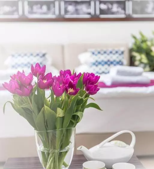 هتل Theater Belgrade