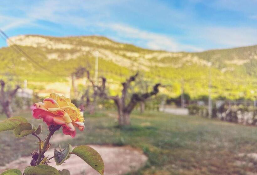 בית מלון כפרי Fonda Aparicio