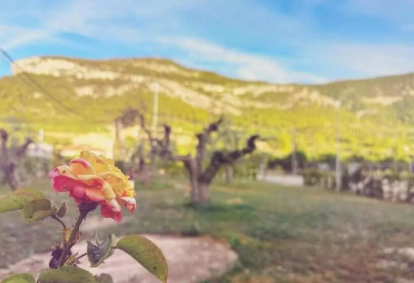 Hotelli Fonda Aparicio