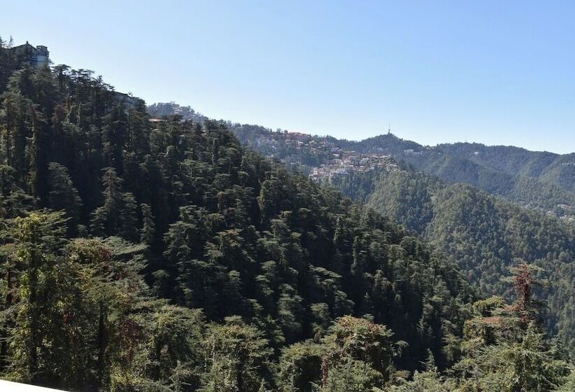 צימר The Cedar Villa