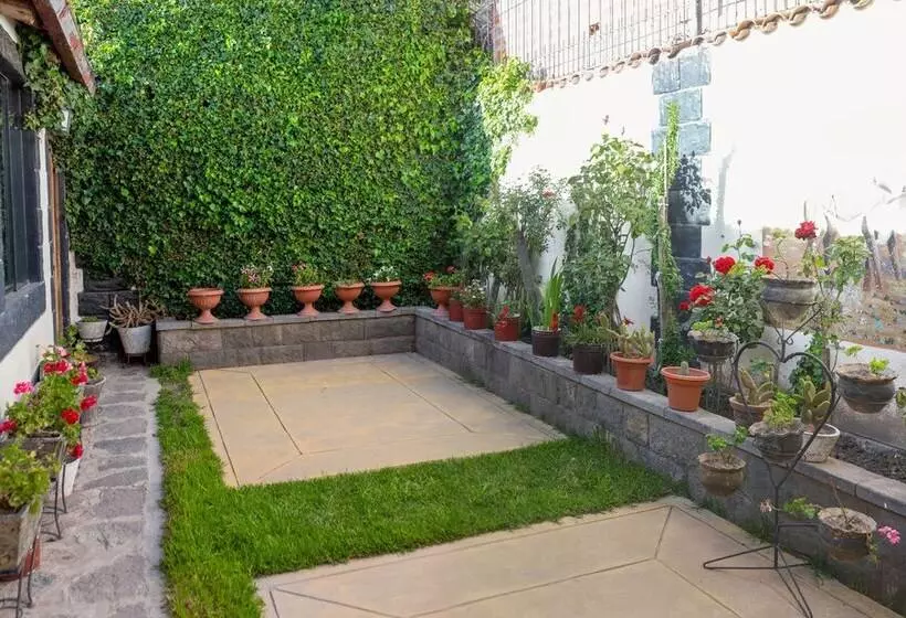 ホテル Colibrí Inn