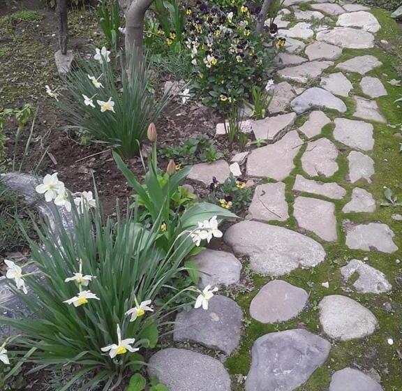 צימר Artgarden Family House