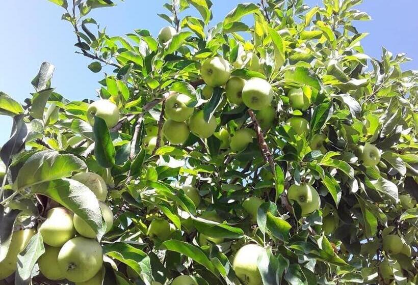 צימר Artgarden Family House