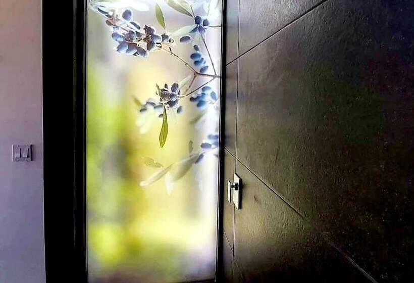 فندق D Vino Valle De Guadalupe