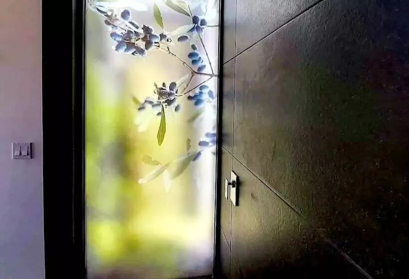 Hotelli D Vino Valle De Guadalupe