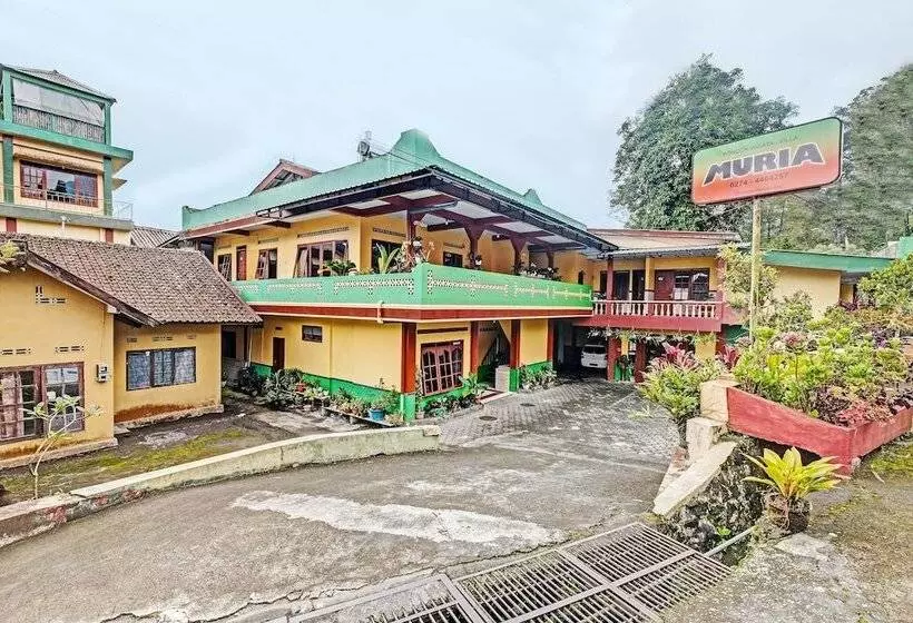 هتل Oyo 92282  Muria