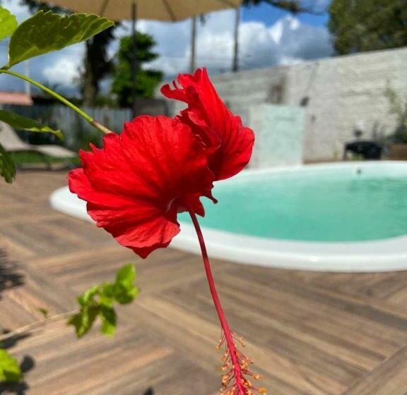 호스텔 Pousada Do Mestre