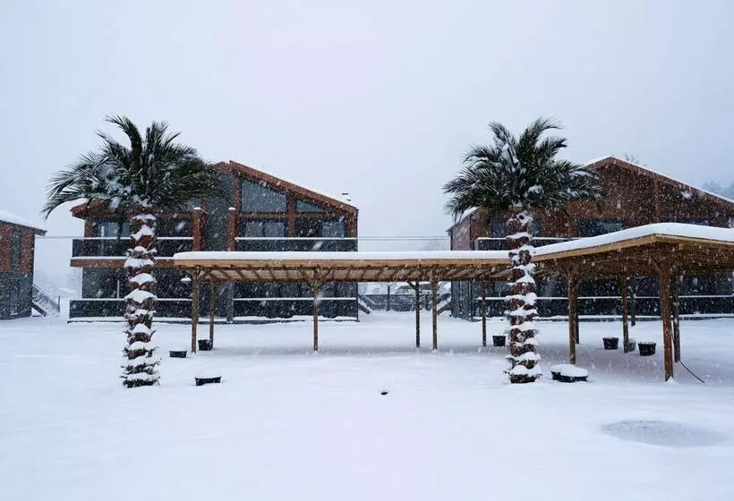 Aamiaismajoitus (B&B) Abant Sedir Park Butik Otel