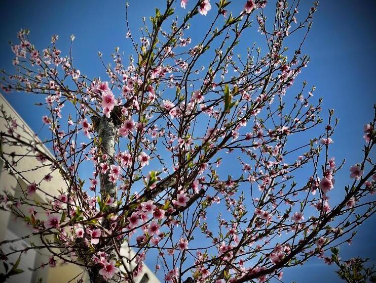 민박 Brest And Breakfast Vue Mer