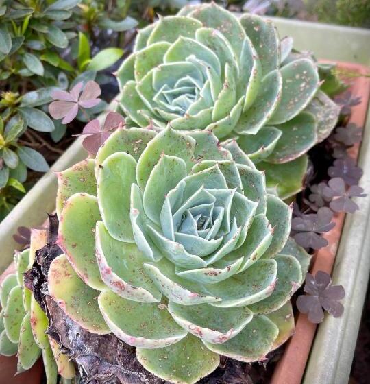 민박 Brest And Breakfast Vue Mer