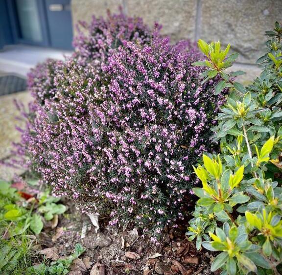 민박 Brest And Breakfast Vue Mer