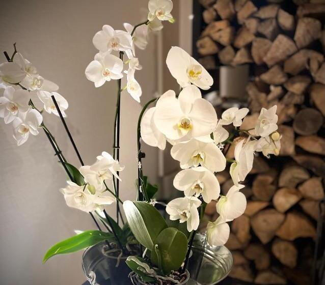 민박 Brest And Breakfast Vue Mer