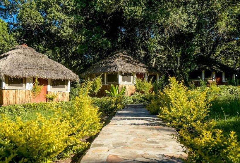 בית מלון כפרי Giraffe Hills Mara Camp