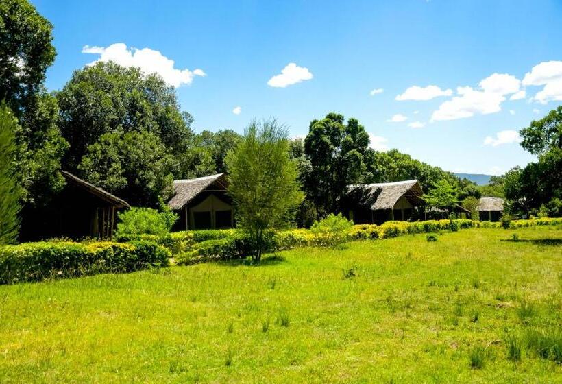 בית מלון כפרי Giraffe Hills Mara Camp