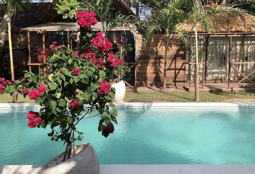 Отель Wow Bungalows F