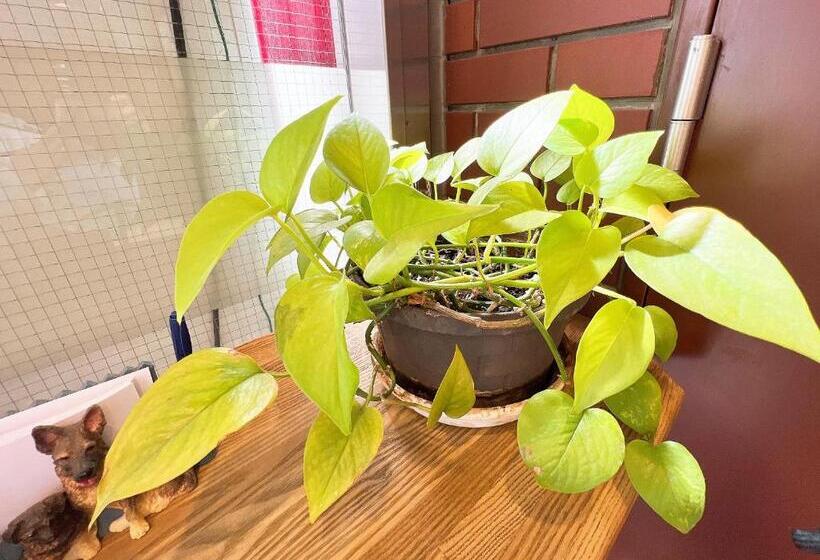 ビジネスホテル ごとう@net