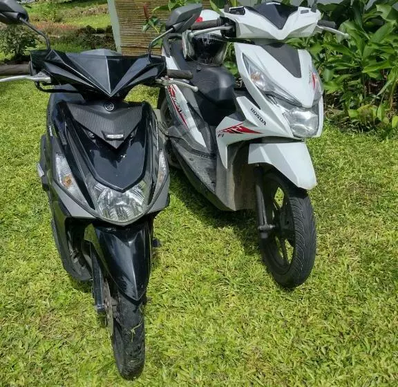 ユースホステル Happy Coconut Camiguin