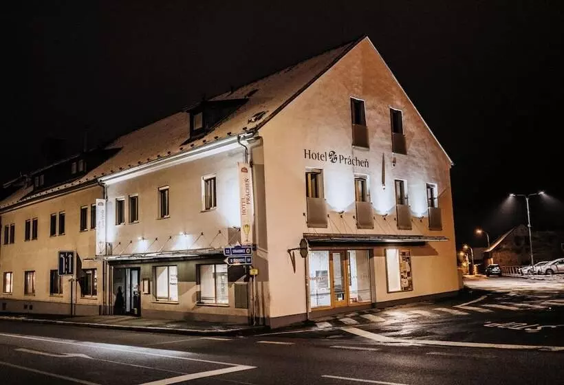 ホテル Prácheň