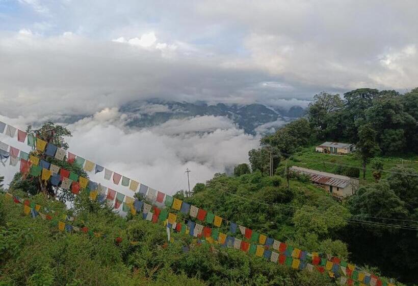 酒店 The Sapling Manor