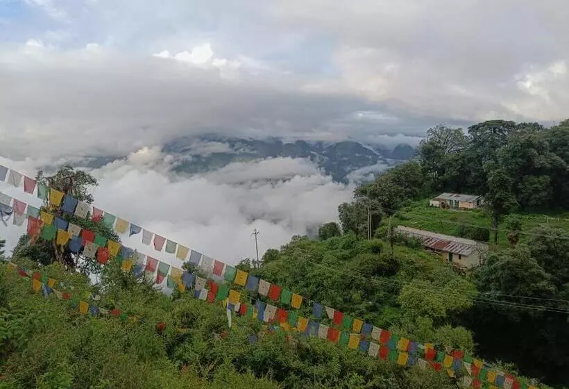 ホテル The Sapling Manor