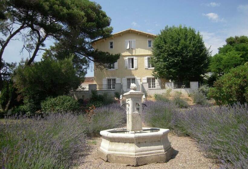 Pensjonat Room In Guest Room   Londres Guest Room In The Heart Of The Vineyard