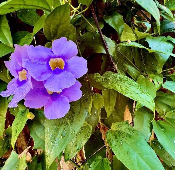 호스텔 Casa La Luna