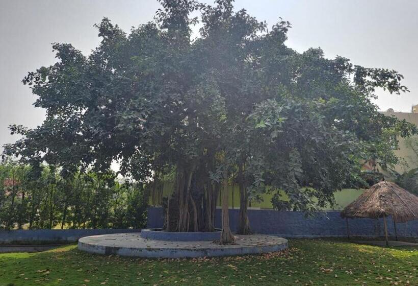 Art Resort & Farm House